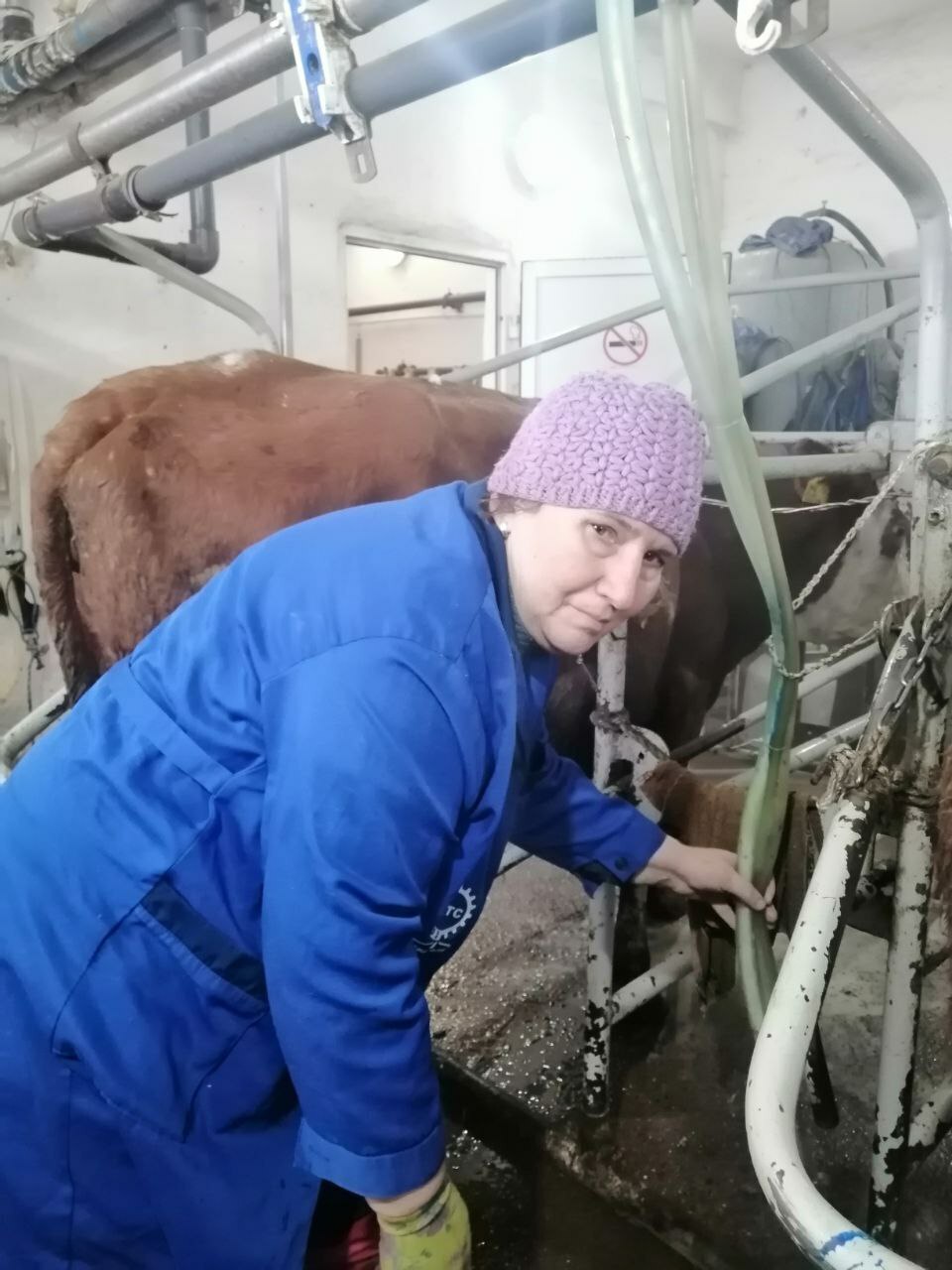 Мал ҡышлатыу - яуаплы осор