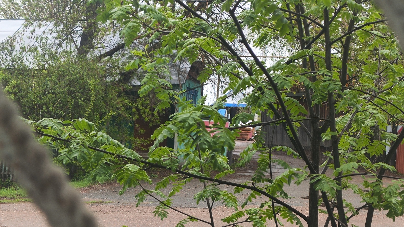 Май айына баҡса эштәре өсөн ай календары