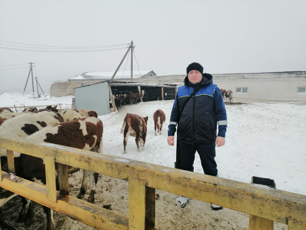 Мал ҡышлатыу - яуаплы осор