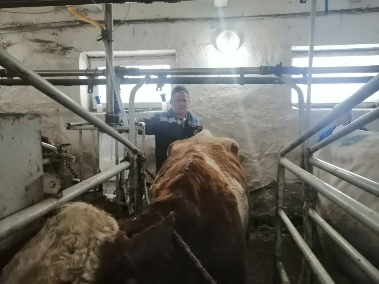 Мал ҡышлатыу - яуаплы осор