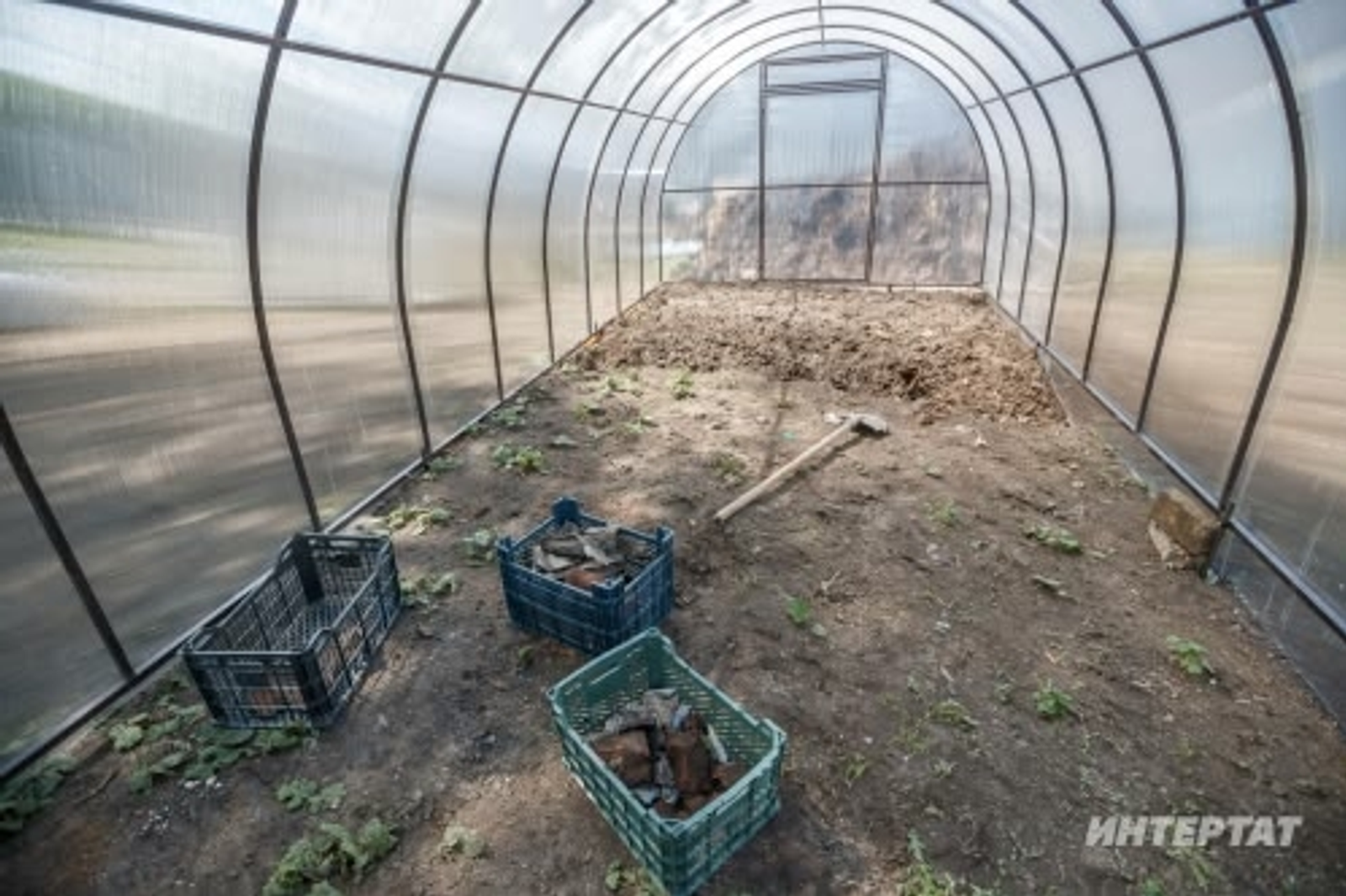 Теплицалағы ҡоротҡостарҙан нисек ҡотолорға?